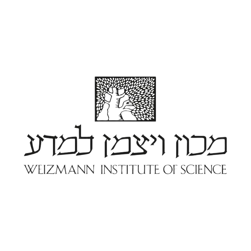 WISlogo800X800